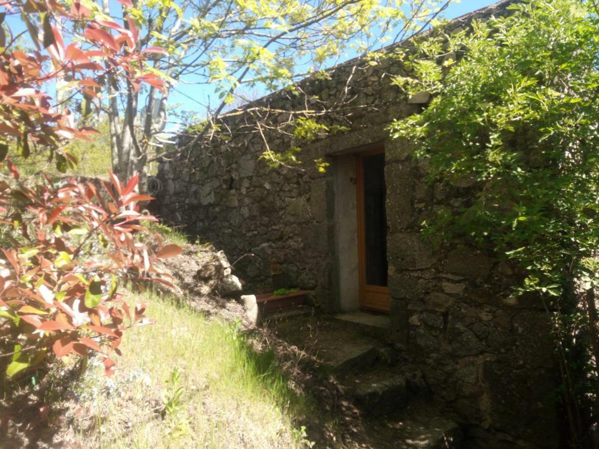 Les Gites Du Mazel Champis 외부 사진